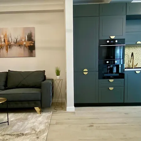 Onix Luxury Saraesa 306 * Mamaia